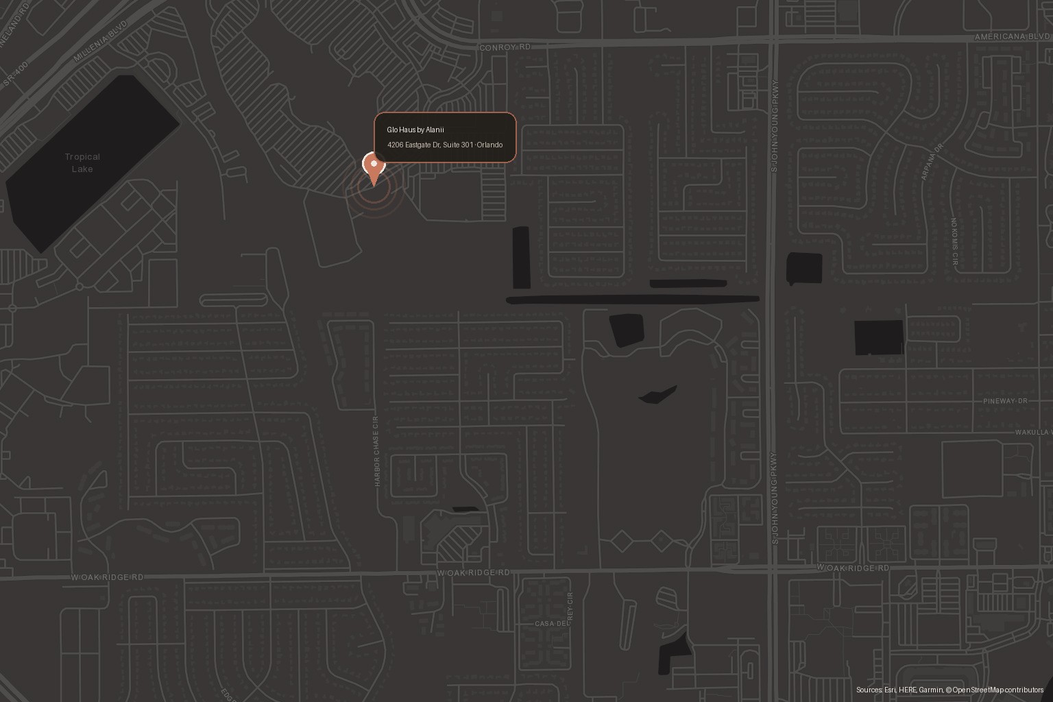 Dark map of Orlando showing the Glo Haus by Alanii pin at 4206 Eastgate Dr, Suite 301, near the Mall at Millenia